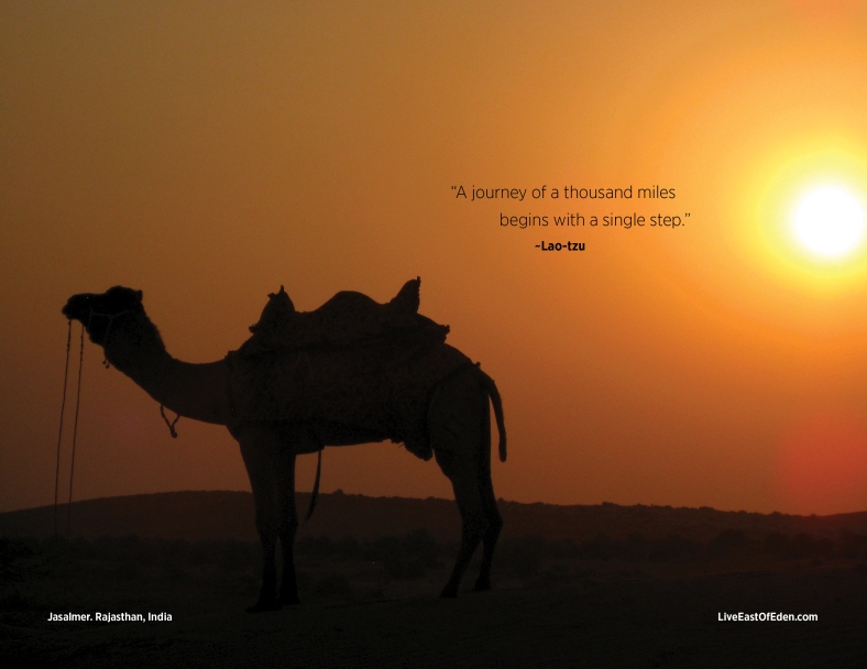 Camel Safari at Sunset (Thar Desrt, India)