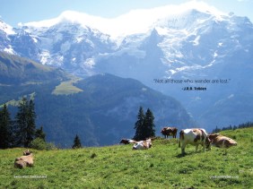 Hiking in the Swiss Alps