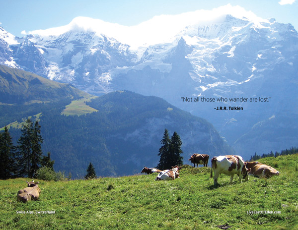 Hiking in the Swiss Alps