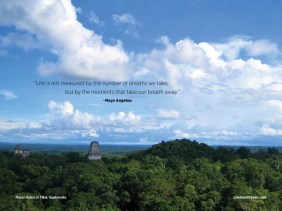 View from Temple V, Tikal National Park