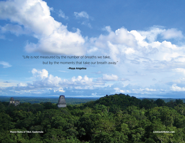 View from Temple V, Tikal National Park