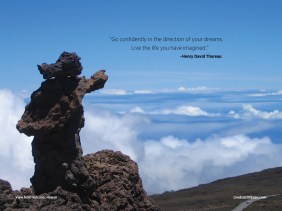 Henry David Thoreau quote