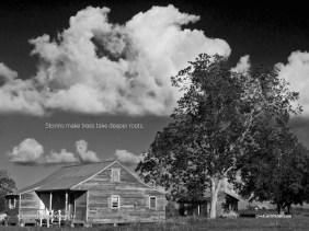 Shack on St. Joseph Plantation. Vacherie, Louisiana
