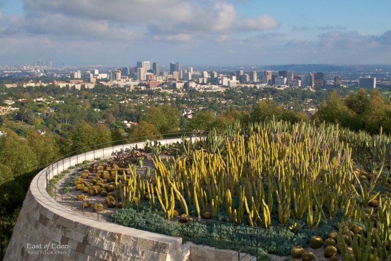 Cactus Garden, South Promontory