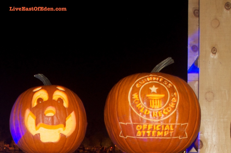 Guinness World Record Official Attempt for Longest Line of Carved Pumpkins