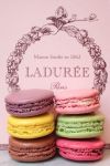 Paris_Laduree_Macarons